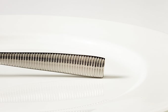 Fortessa Ringo 18/10 Stainless Steel Flatware Serving Fork Silver