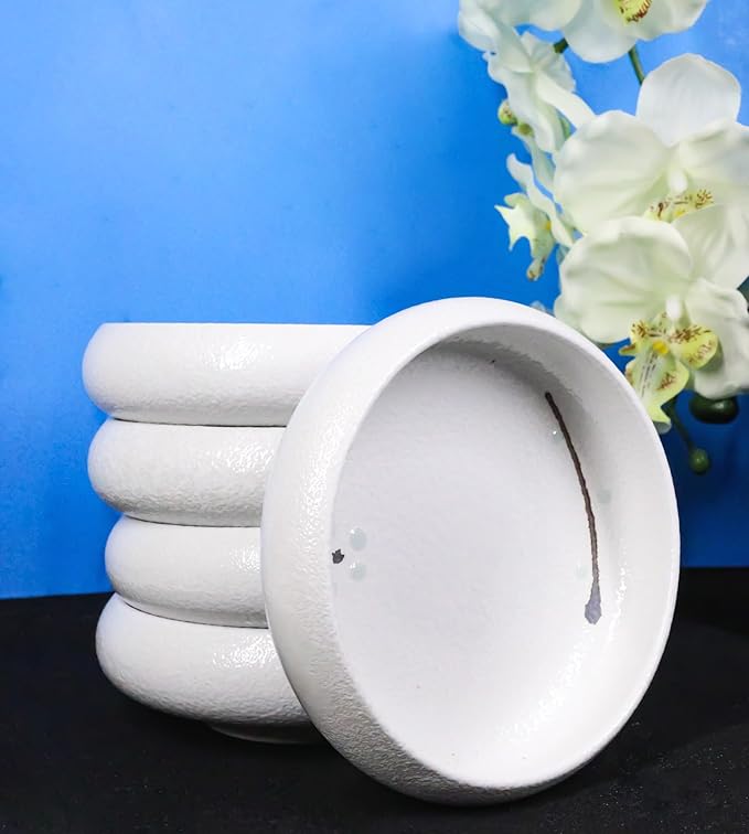 Ebros Gift Modern Yukino Hana Snow Flowers Ceramic Dinnerware Serveware Kitchenware Set Oriental Asian Restaurant Supply (Pack Of 6 Small Salad Banchan Plates Shallow Bowls 5D)