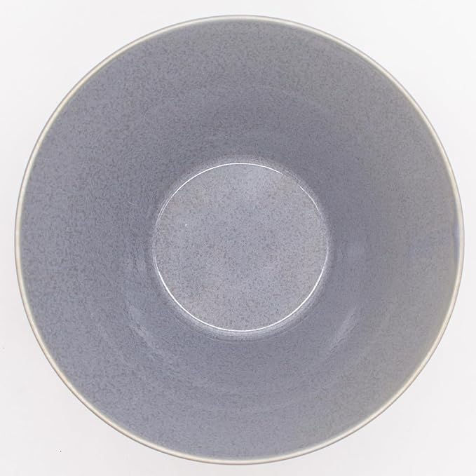 Aito Aito Seisakusho Natural Color Dinnerware Set Dishwasher-Safe Microwave Safe Ramen Donburi Large Diameter Approximately 6.7 x Depth 3.7 inches (17 x 9.4 cm) Mino Ware Stylish Bowl Plate