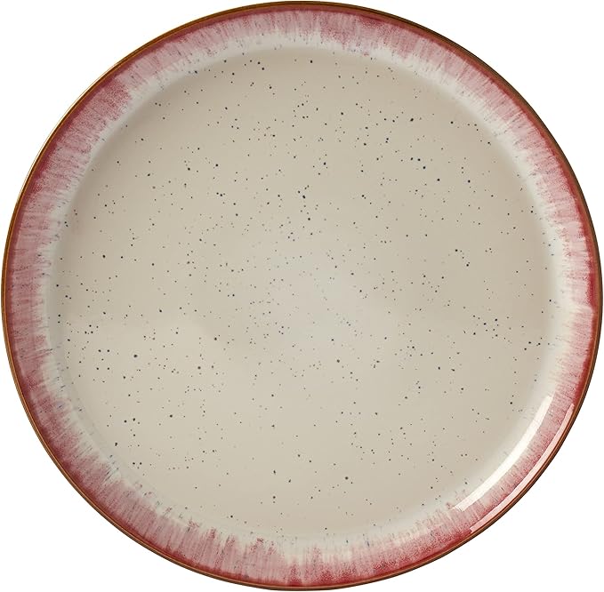 Tabletops Gallery Speckled Farmhouse Collection- Stoneware Dishes Service for 4 Dinner Salad Appetizer Dessert Plate Bowls 12 Piece Hanover Dinnerware Set in Berry