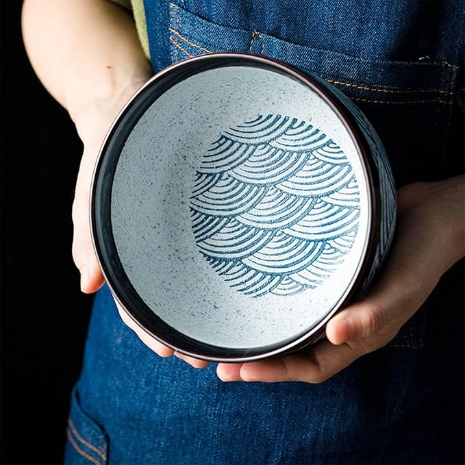 Dinnerware Set 12 Piece Dishes Set Plates and Bowls Set for 2 Kitchen Porcelain Dinnerware Sets Ceramics Dinner Set Tableware Set Dishwasher and Microwave Safe