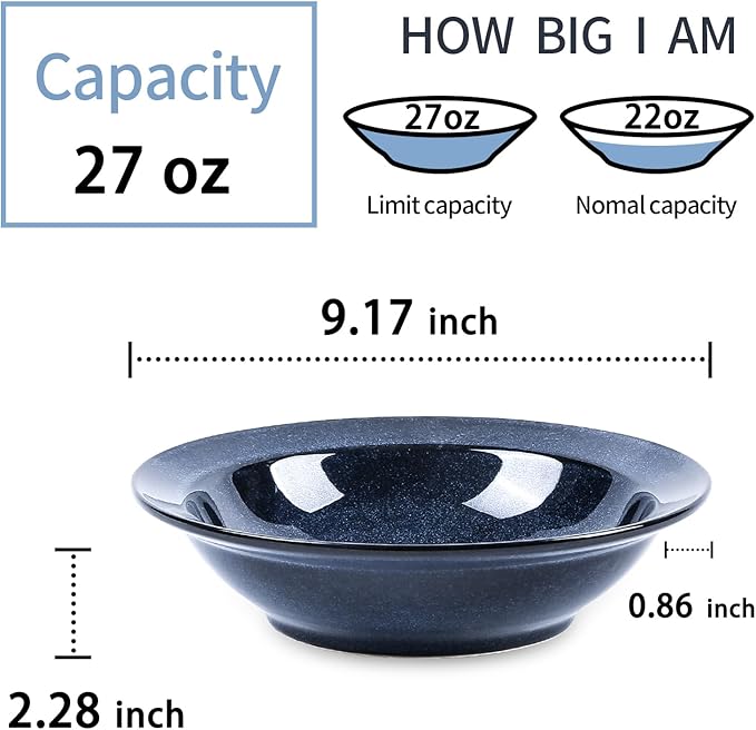 vicrays 10-Piece Dinnerware Set - Includes Wide Rim Soup BowlsDinner Plates- Microwave Oven Dishwasher Safe Porcelain Fluted for Home Party Restaurant Use - Blue