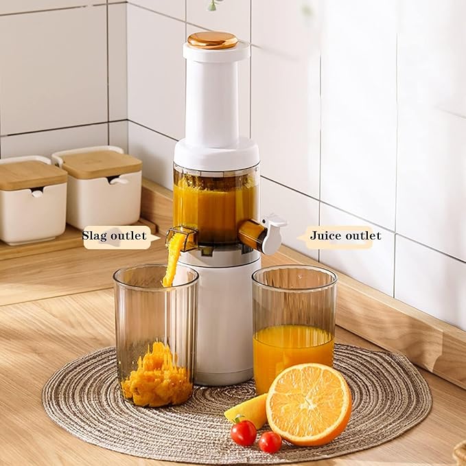 620 ml Electric Cold Press Juicer Compact Masticating Slow Juicer Portable Blender Masticating Juicers 120W Motor Reverse Function
