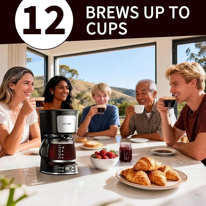 12-Cup Drip Coffee Maker with Reusable FilterProgrammable ClockAuto BrewWater WindowKeep Hot PlateGlass CarafeCompact Design for KitchenOfficeSilver and BlackStainless Steel