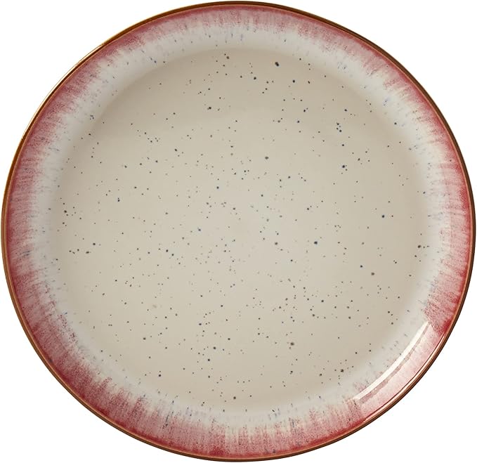 Tabletops Gallery Speckled Farmhouse Collection- Stoneware Dishes Service for 4 Dinner Salad Appetizer Dessert Plate Bowls 12 Piece Hanover Dinnerware Set in Berry