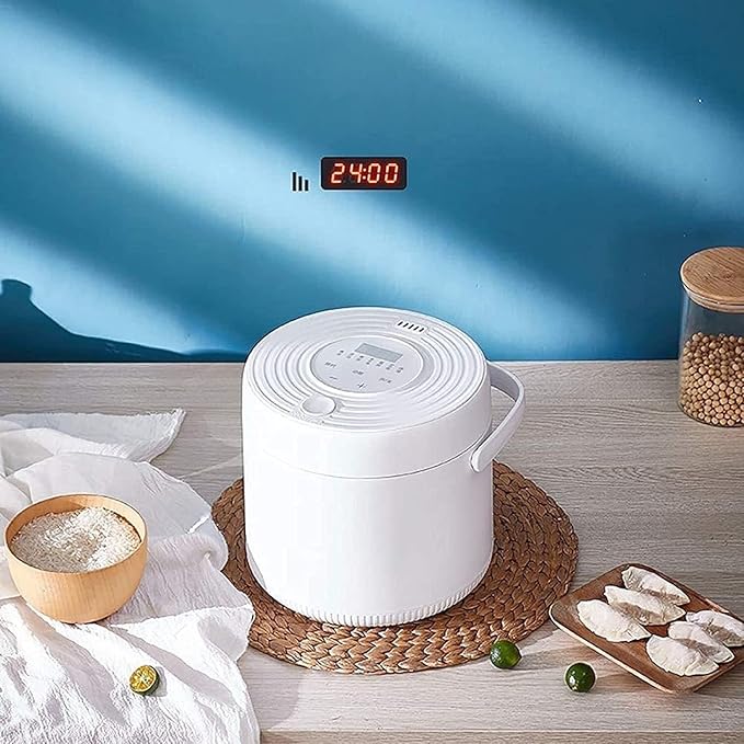 Electric Hot Pot 2L Mini Electric Rice Cooker Thermal Lunch Box Portable Meal Thermal Heating Food Container Warmer