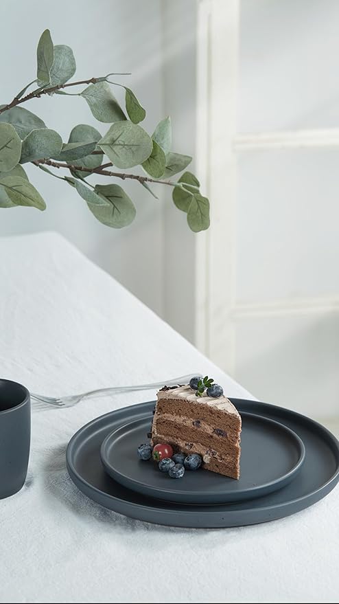Famiware Dawn Plates and Bowls Sets 12 Pieces Stoneware Dinnerware Sets Dishes Set for 4 Microwave and Dishwasher Safe Speckled Charcoal