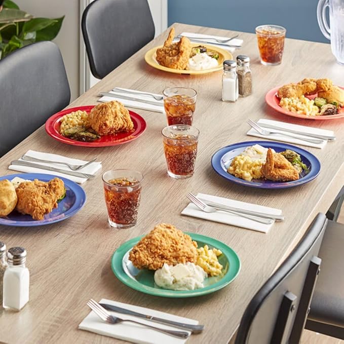 Soro Essentials- 24 Piece Ceramic Dinnerware Set Assorted Colors- Set Includes (6) 10-1/4 &amp (6) 7-1/2 Plates (6) 15 oz. Bowls (6) 8-1/2 Mugs Dishwasher safe Lightweight Round Plates Bowls Mugs