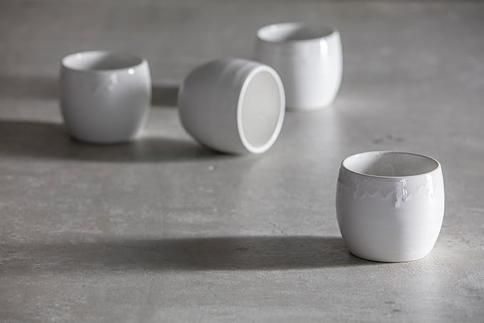 Cloud Terre by Fortessa Collection No 1 Stoneware 16 Piece Dinnerware Set Service for 4 White