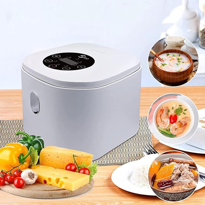 2 Liters Rice Cooker Stainless Steel Liner Supports Preset and Keep Warming Rice Cooker and Steamer-Warm Function to Make Rice Soup Baby Porridge Cake Multigrains Porridge