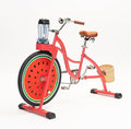 Beach Party Blender Bike - Stationary Smoothie Blender &amp Juicer Smoothie Bike/customized Cheap juicer blender bike Stationary bike