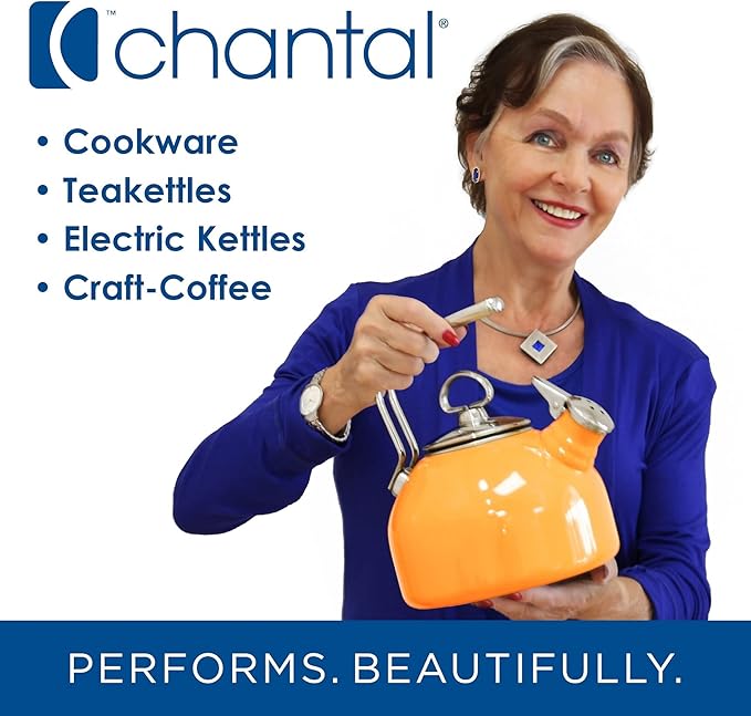Chantal Stoneware French Press with Stainless Steel Plunger and Lid 28 ounce capacity Fade Grey