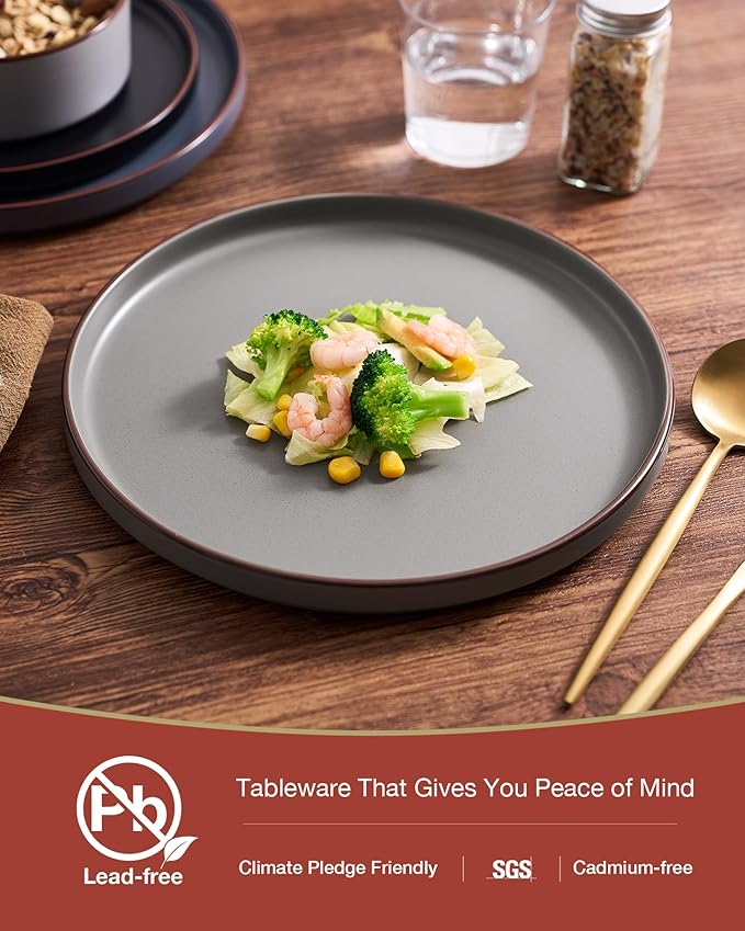 Famiware Nebula Ridge Stoneware Dinnerware Sets for 8 24 Pieces Plates and Bowls Sets Dishes Set Microwave and Dishwasher Safe Kitchen Plates Multi-color