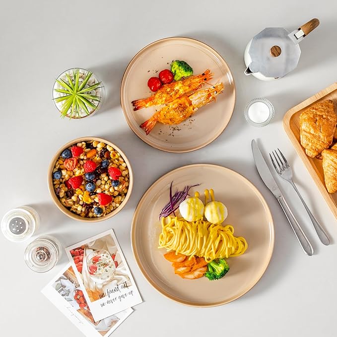 vancasso ONION Ceramic Plates and Bowls Sets 12 Pieces Brown Dinnerware Sets for Kitchen Reactive Glaze Dishes Set for 4 Dishwasher and Microwave Safe