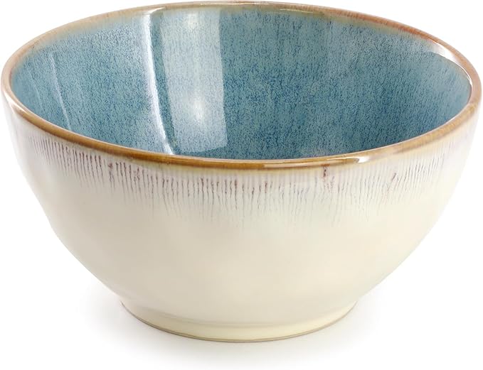 16 Piece Stoneware Dinnerware Set Blue and Beige Plates and Bowls Microwave &amp Dishwasher Safe Dinner Set for 4 (Blue &amp Beige)