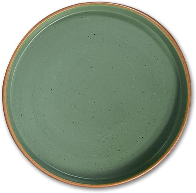 Artesa Organics Landscape Terrario Ceramic Dinnerware Set Handmade 6-Piece Place Setting with Dinner Plates Salad Plates Mugs Microwave Safe