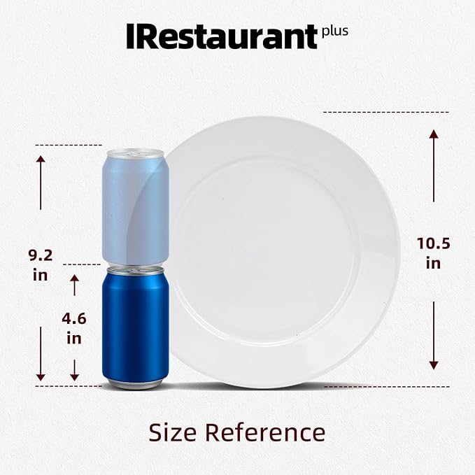 Stoneware Wide Rim Commercial Grade Dinnerware Bright white Dinner Plate 10.5 Case of 12