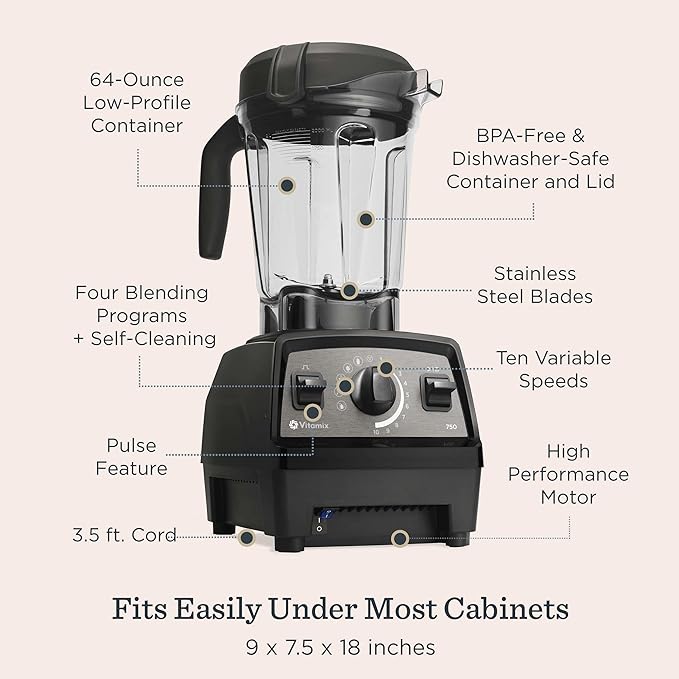 Vitamix Propel Series 750 Blender with Four Blending Programs Self-Cleaning Program Professional-Grade Blender for Smoothies Soups and More Stainless-Steel Blades 64 Oz Container Slate