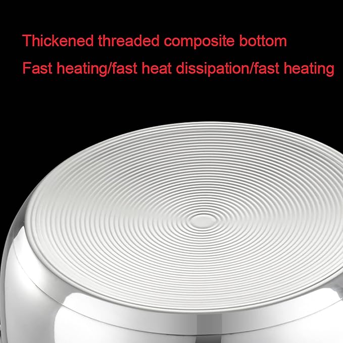 Portable Rice Cooker with Stainless Steel Inner Pot Steamer &amp Warm Functions Ideal for 1-11 People 2-6L Capacity(2L)