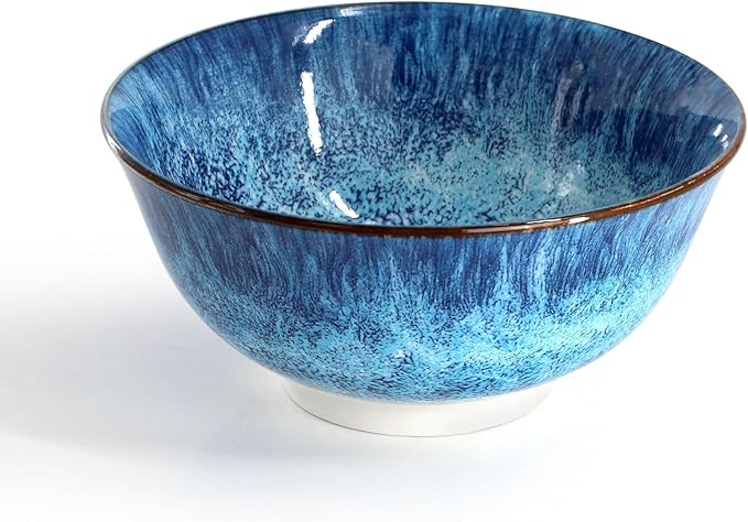 16‑Piece Porcelain Dinnerware Set in Green Double Bowl Design with Dinner Plates Salad Plates and Bowls Dishwasher &amp Microwave Safe (Blue)