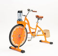 Beach Party Blender Bike - Stationary Smoothie Blender &amp Juicer Smoothie Bike/customized Cheap juicer blender bike Stationary bike