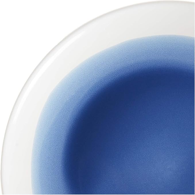 American Atelier Round Dinnerware Sets | Blue &amp White Kitchen Plates Bowls and Mugs | 16 Piece Stoneware Oasis Collection 10.5 x 10.5 | Dishwasher &amp Microwave Safe | Service for 4