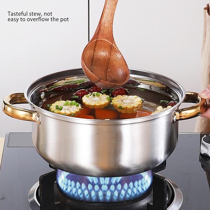 Dioche 5PCS Stainless Steel Cookware Set with Glass Lids Nonstick Pots and Pans for Kitchen Even Heat Distribution and Dishwasher Safe