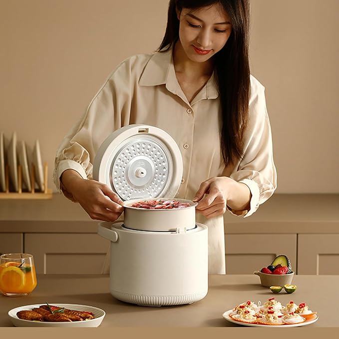 Rice Cooker 3 Cups Raw Rice 2L Mini Small Rice Cooker (Suitable for 1-2 People) Portable Travel Rice Cooker with Steamer Automatic Keep Warm Grain Vegetable Rice Maker