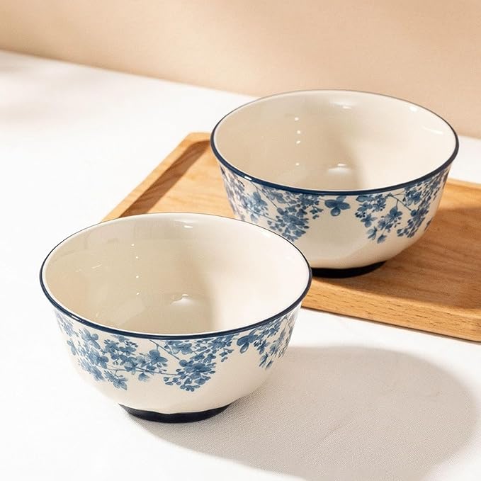 10 Pieces Dinnerware Sets Simple Elegant Plates and Bowls Sets Dinner Set for 2 Oven &amp Dishwasher &amp Microwave Safe Easy to Clean Non-slip Bottom High Temperature Firing Healthy and Colo