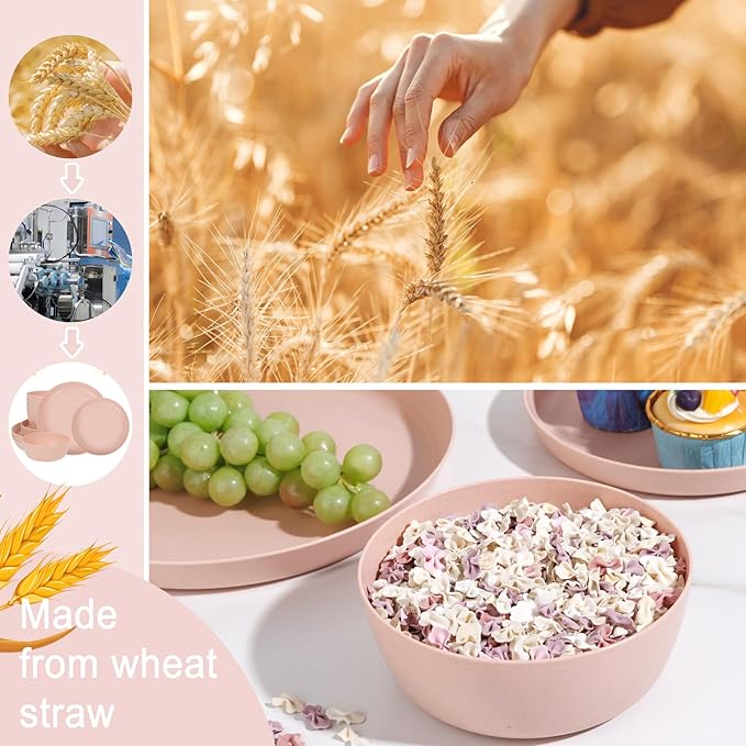 EI 12pcs Pink Wheat Straw PlatesWheat Straw Dinnerware Set for 4Plates and Bowls SetsPlastic Plate ReusableUnbreakable Plastic Plate MelamineCamping Family Dishes Set