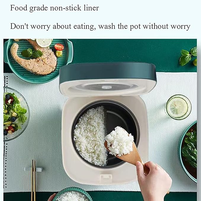 1.2L Mini Rice Cooker Electric Rice Steamer for 2 with Keep Warm Function 200W Removable Non Stick Rice Pot Automatic