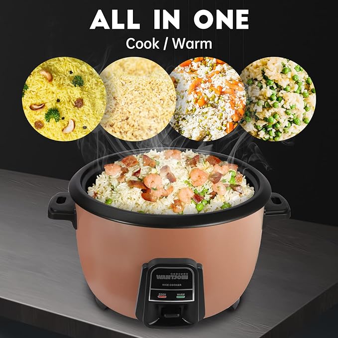 Wantjoin Rice cooker Stainless Rice Cooker &amp Warmer Commercial Rice cooker for party and family(10L capacity for 4.2L rice42CUPS) Brown