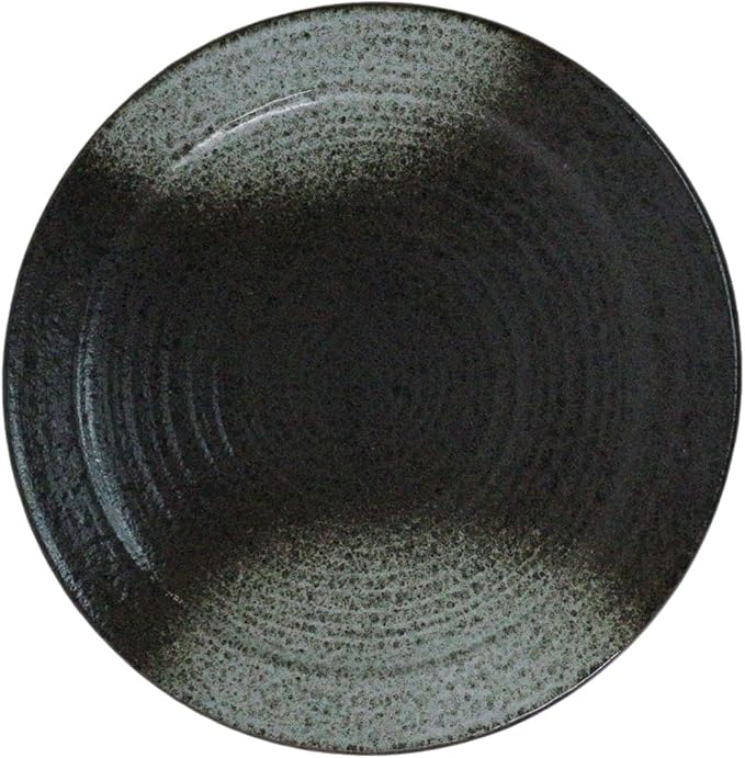 Ebros Gift Artistic Charcoal Grey Tone Hakumu Porcelain Collection Dinnerware Serveware Kitchenware Set Asian Japanese Restaurant Supply (Pack Of 5 Large Round Dinner Plates 10 D)