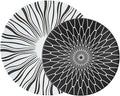 The Art of Lines Dinnerware Set service for 2Lightweight Round Plates Bone China Dinnerware SetsSteak Dinner Plates Dish Set (4Pcs) a beautiful gift LJW1127