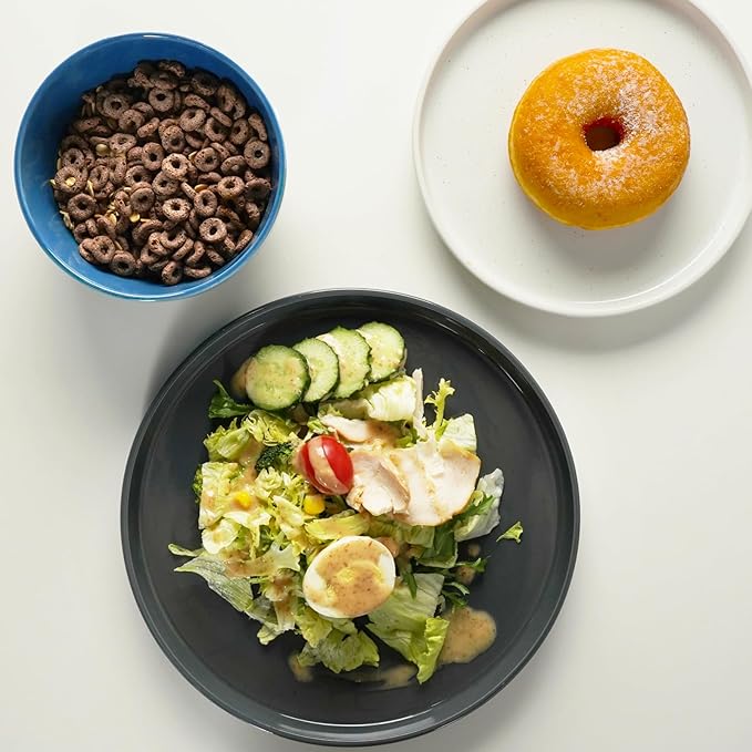 Kitchen Plates and Bowls Set Dinner Set for 4 Handpainted Dinner ware Sets Microwave Safe Plates and Bowls Sets Stone Plate Scratch Resistant (Galaxy Mist)