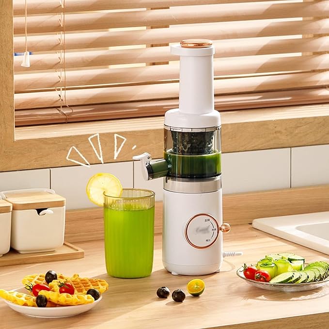 620 ml Electric Cold Press Juicer Compact Masticating Slow Juicer Portable Blender Masticating Juicers 120W Motor Reverse Function
