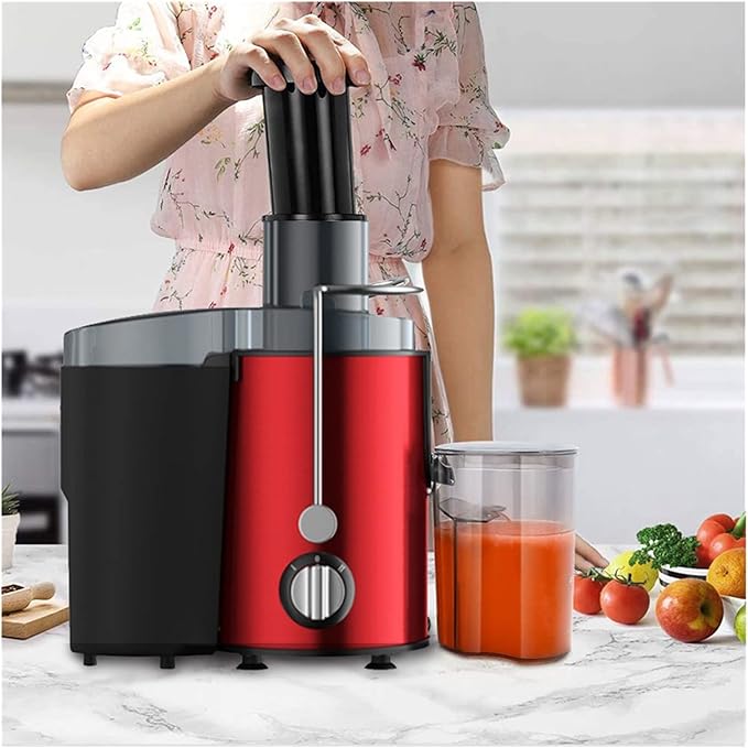 Home Multifunction Juicer Machine Fruit Vegetable Original Juice Double Cutter Head Stainless Steel Portable Fruit Juicers (B JP)