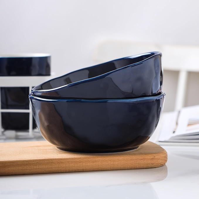 Stone lain Ivy Porcelain Dinnerware Set 24-Piece Service for 6 Navy Blue