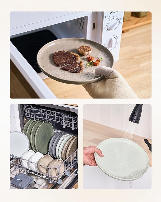 Famiware Mars Plates and Bowls Set 12 Pieces Dinnerware Sets Dishes Set for 4 Multi-color