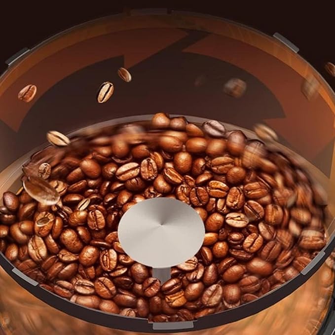 Coffee Roaster Home Coffee Bean Roasting Machine with Timer Stainless Steel Transparent Glass Automatic and DIY Mode 100g per Use Mother s Day Gift for Coffee Lovers Friends 1300W