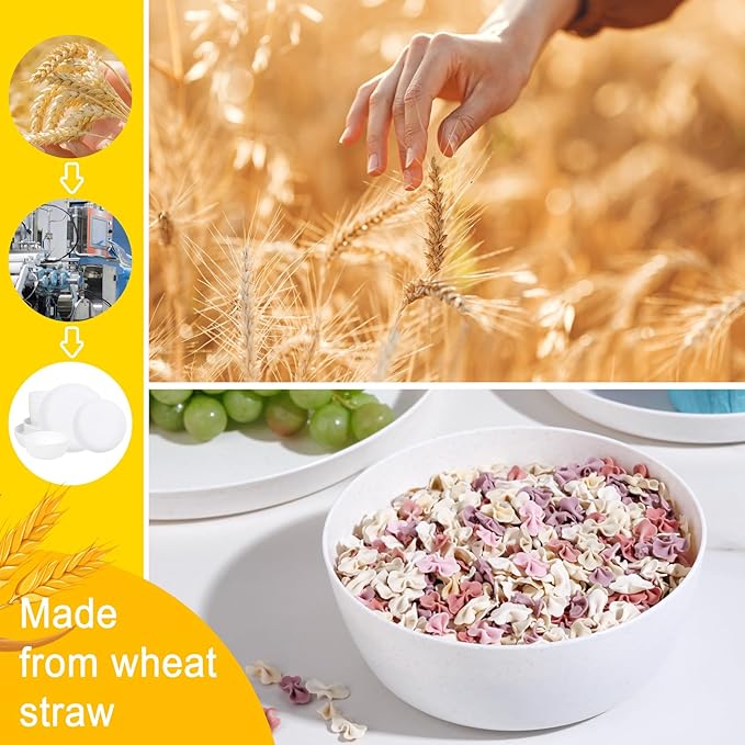 EI 12pcs White Wheat Straw PlatesWheat Straw Dinnerware SetPlates and Bowls SetsUnbreakable Plastic PlatePlastic Plates ReusableDinner Plates Set of 4Plastic Dishes Set