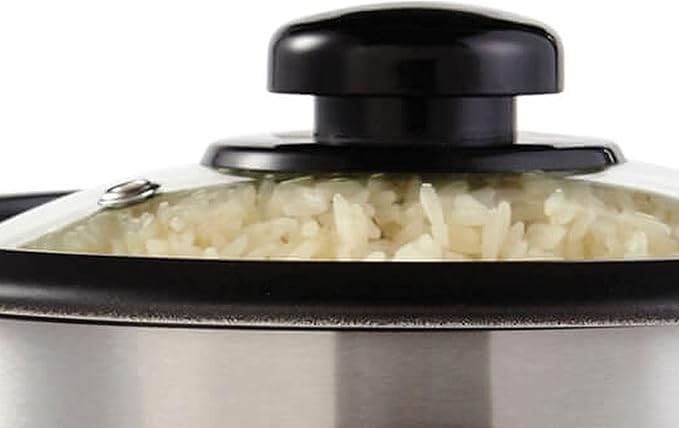 6-Cup Rice Cooker with Glass Lid Stainless Steel
