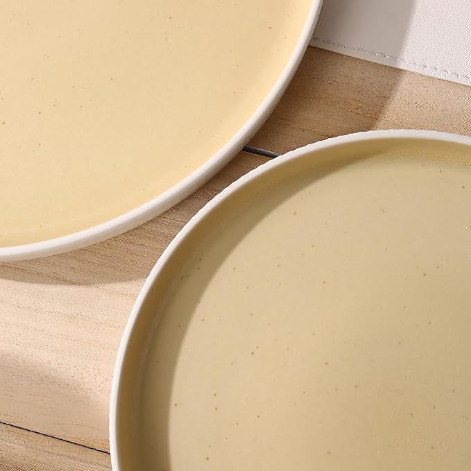 MONITO Ceramic Dinnerware Sets for 4 12PCS Stoneware Plates and Bowls Sets Reactive Glaze Dish Set Chip and Scratch Resistant Double Microwave and Dishwasher Safe White Orange