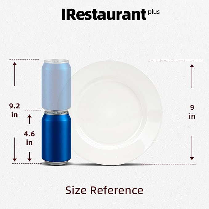 Stoneware Wide Rim Commercial Grade Dinnerware America White Plate 9 Case of 24
