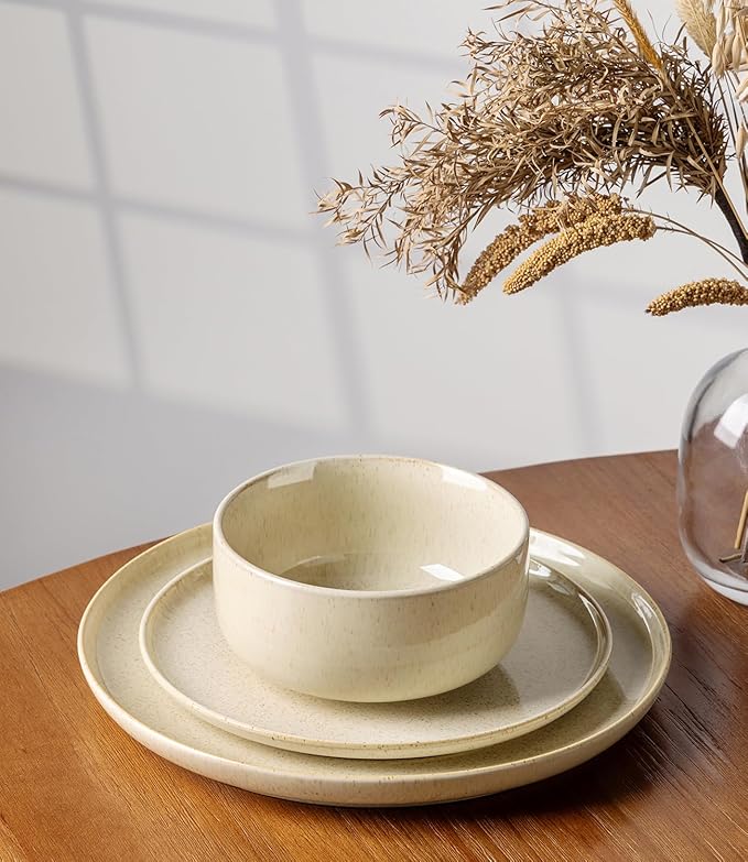 TheTerra Ceramic Dinnerware Sets for 4 12 Pieces Handmade Reactive Glaze Plates and Bowls Set Scratch Resistant Dish Set Oven &amp Microwave &amp Dishwasher Safe Cappuccino