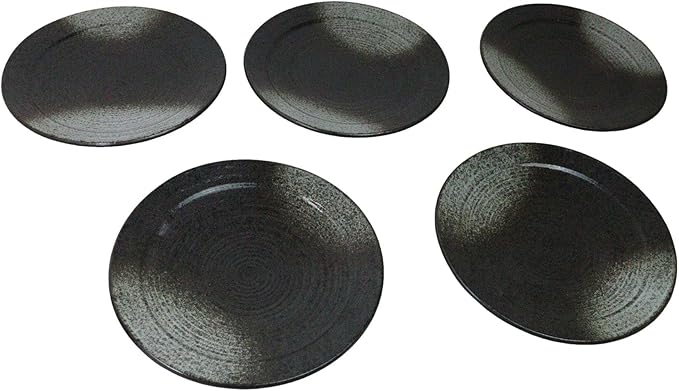 Ebros Gift Artistic Charcoal Grey Tone Hakumu Porcelain Collection Dinnerware Serveware Kitchenware Set Asian Japanese Restaurant Supply (Pack Of 5 Large Round Dinner Plates 10 D)