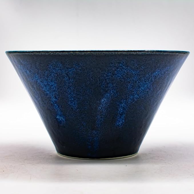 aito Seisakusho Natural Color Dinnerware Set Dishwasher-Safe Microwave Safe Ramen Donburi Large Diameter Approx. 6.7 x Depth 3.7 inches (17 x 9.4 cm) Mino Ware Stylish Bowl Plate Rice Bowl