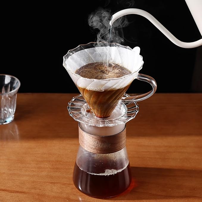 Bincoo Glass Pour Over Coffee Maker Set All-Glass Borosilicate V-shape 60° Cone Dripper &amp 500ml Coffee Carafe Server V-shape 60° Cone Drip Brewer with 50 V02 Filters