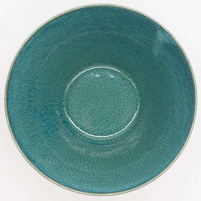 Aito Aito Seisakusho Natural Color Dinnerware Set Dishwasher-Safe Microwave Safe Ramen Donburi Large Diameter Approximately 6.7 x Depth 3.7 inches (17 x 9.4 cm) Mino Ware Stylish Bowl Plate