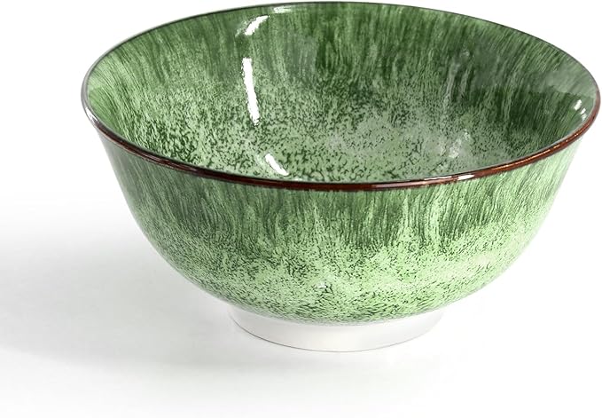 16‑Piece Porcelain Dinnerware Set in Green Double Bowl Design with Dinner Plates Salad Plates and Bowls Dishwasher &amp Microwave Safe (Green)